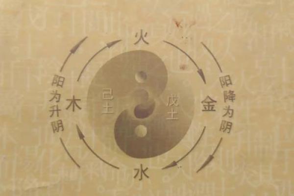 十二生相五行命理探寻：解密命运的奥秘与人生智慧