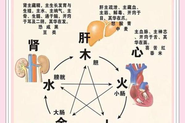 揭开男命3.7两的神秘面纱,探寻五行命理与人生运势的奥秘 揭开男命3.7两的神秘面纱,探寻五行命理与人生运势的奥秘