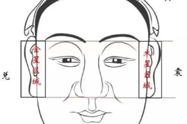 颧骨处的痦子象征命运之谜：探秘面相学的奥秘与启示