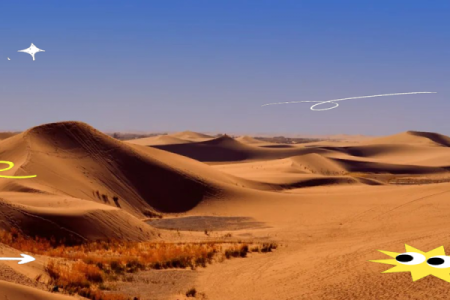 揭开心灵的秘密：辛巳白蜡金命的深刻解析与启示