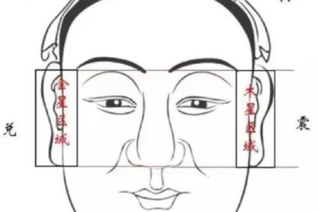 颧骨处的痦子象征命运之谜：探秘面相学的奥秘与启示