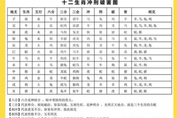 人生最美好的生肖：探索生肖与命运的奥秘