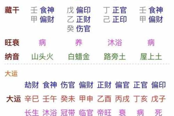 食神男命的命局解析与发展方向探讨