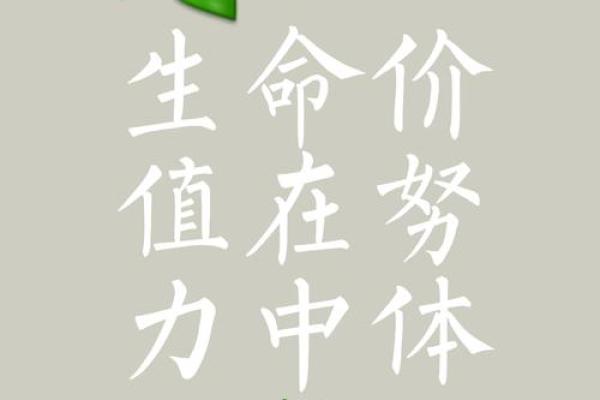 事情比命长：在生活的选择中寻找意义与价值