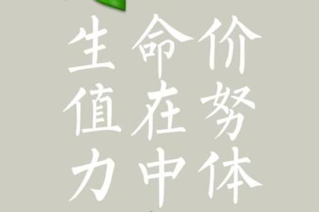 事情比命长：在生活的选择中寻找意义与价值