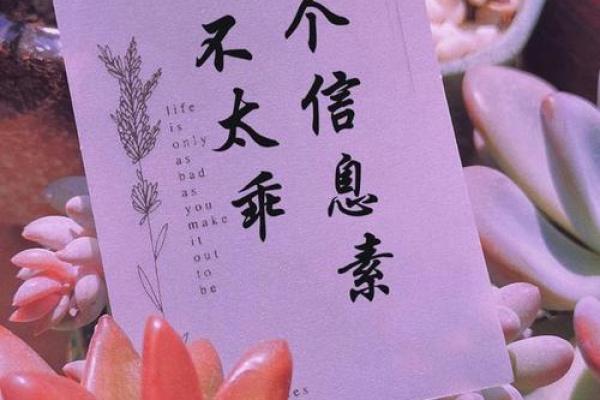 《我对你好的原因：爱与责任的深刻思考》