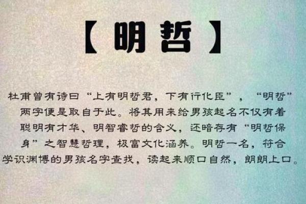 适合木命人的名字解析：如何为你的孩子起个寓意深远的名字