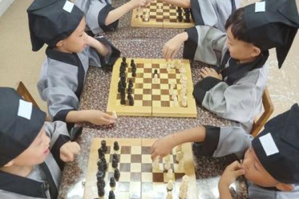 1976年农历命格解析：木龙的智慧与成长之路