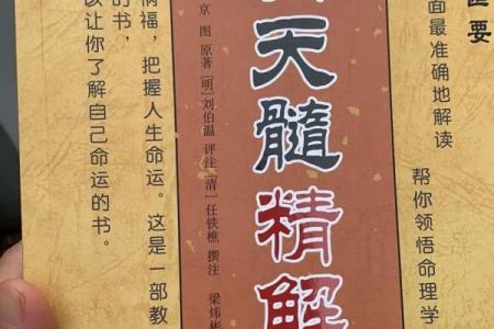 壬申日：探寻上等命的真谛与命理密码