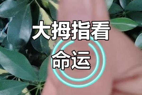 男命食神见官，揭示人的潜力与命运转折