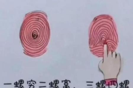 三篼七簸箕命女人：命运与性格的奇妙探索