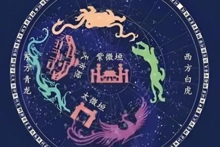 属鼠人的2023年：星辰指引与命运解析