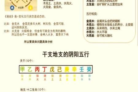 揭开五行奥秘：如何通过生日判断你的命格属相