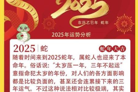 2024年蛇年运势解析：揭开命运的神秘面纱