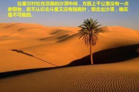 霹雳火命人职业选择：点燃激情，追逐梦想的最佳方向