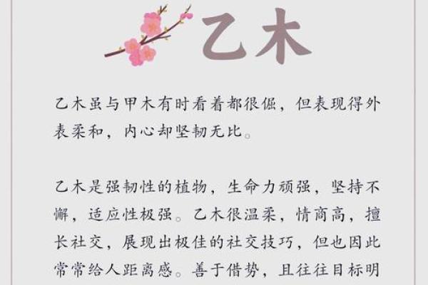 理解缺木女生命理特征，揭示独特个性与命运之路