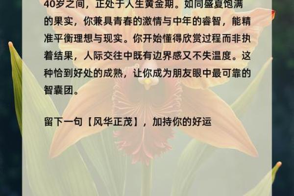 清秀命格解析：探寻生命中独特的美与智慧