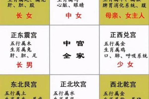 如何辨别命运五行属相，开启你的人生之旅