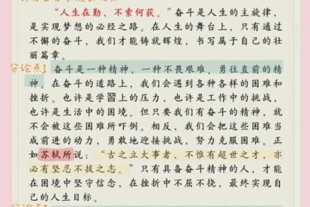 奋斗拼搏过的岁月：那些让人难忘的时光与感悟