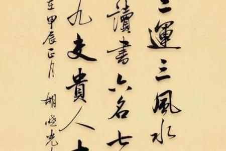 揭秘木猪山头火命：掌握人生方向的智慧火焰