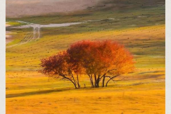 清高贵显：追寻内心的宁静和真实的自我