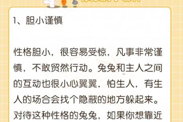 属兔84岁的人命运解析：揭示个性与未来的秘密