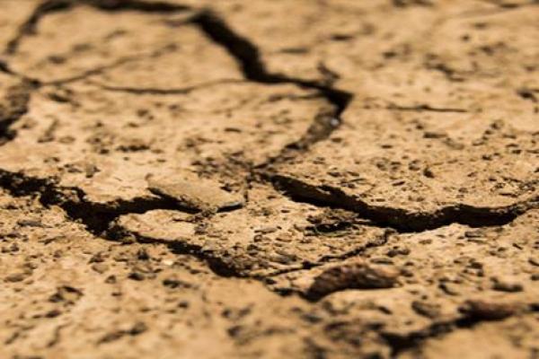 七九年大驿土命解析：缺什么与如何弥补的智慧之路