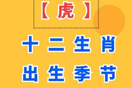 壬申虎年：命运最好的生肖与人生智慧探讨