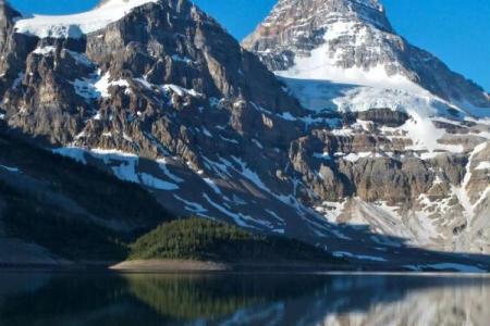 揭开木命五行日主弱的神秘面纱，让你懂得如何滋养内心的树木！