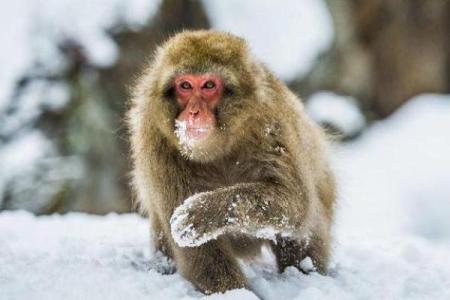 七九年大驿土命解析：缺什么与如何弥补的智慧之路