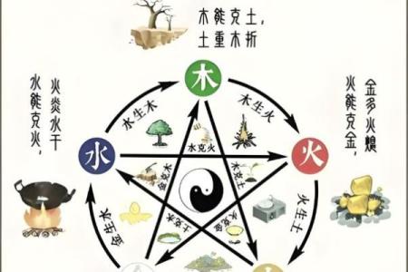 女木命与适合的命理组合——探索最佳搭配之道