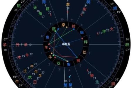 借助软件探索命格奥秘，开启你的命理之旅！