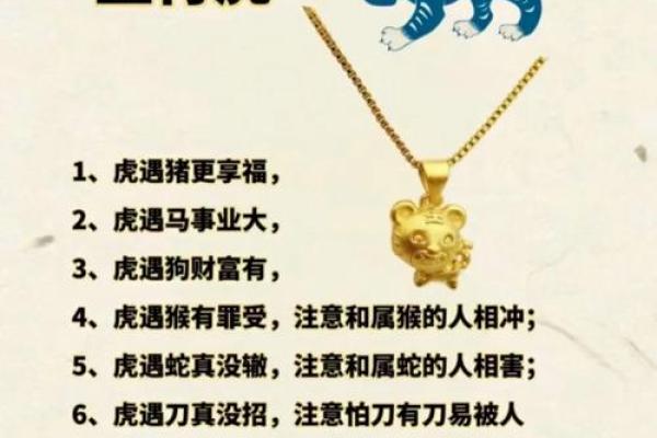 2023年属蛇人的命运解析：财富、事业与感情的全方位提升