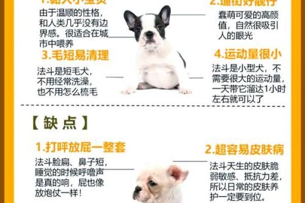 属牛与属狗：探秘二者命运的奇妙联系