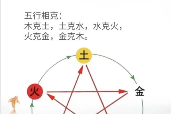 森林木命与五行相生相克的完美结合