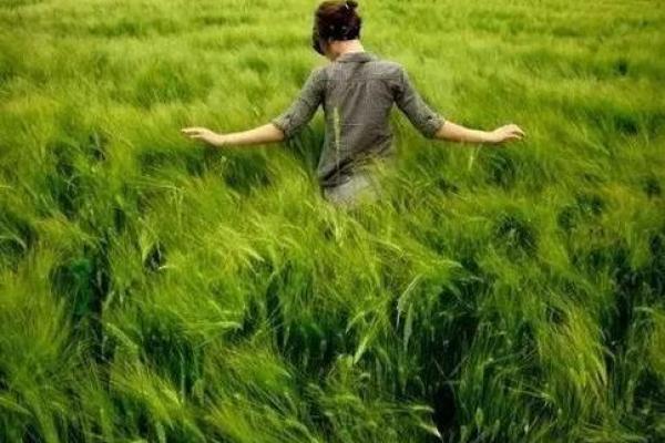 八字命理中的尼姑与和尚：命运背后的灵性之旅