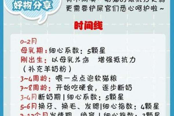 猫年出生的宝宝，哪个时辰更具命运优势？