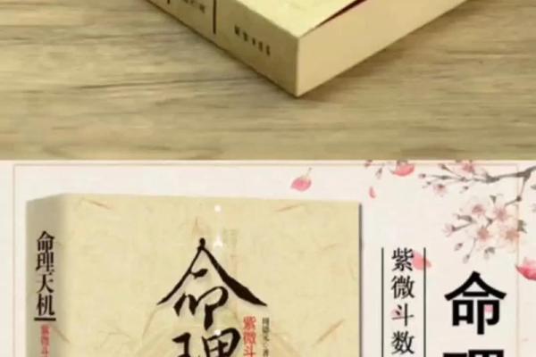 三两七之命：掌握命理，启迪人生智慧