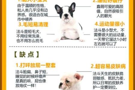 属牛与属狗：探秘二者命运的奇妙联系