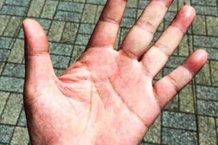 石榴木命的命名之道：为你的生命量身定制的名字选择