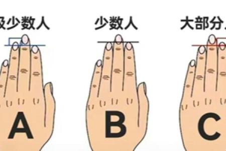 食指的长度之谜：短食指与性格特质的关联
