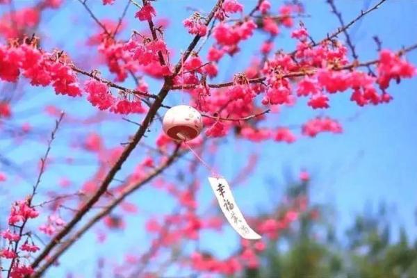 灯笼命解读：命理中的光辉与希望的象征