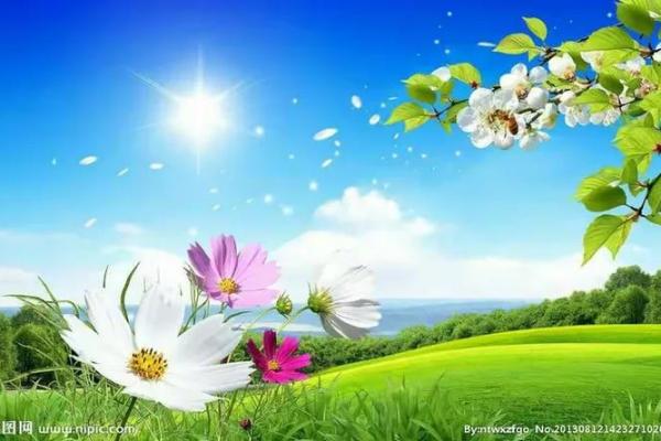 三月二十三出生的人：天生的领导者与温暖的心灵