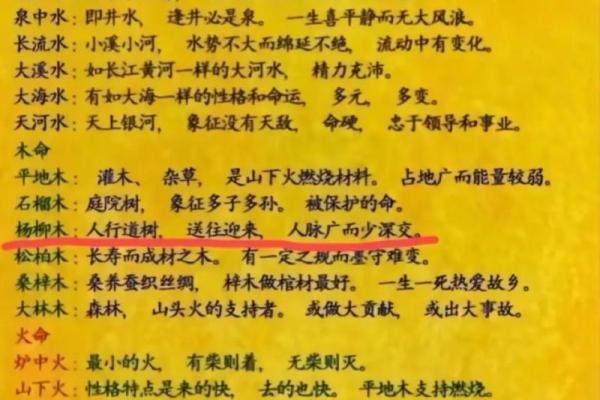 炉中火命是什么？揭秘炉中火命的基本概念与命理关联