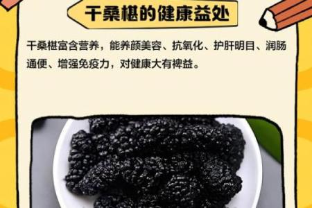 桑葚子干的独特养生价值：让你的健康生活更出色！