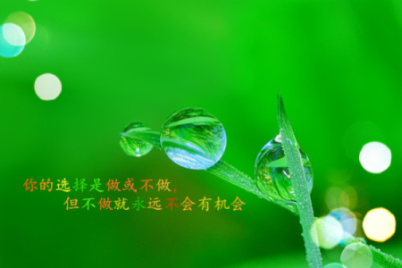 十月初二的妈妈：命理与生活的智慧探讨