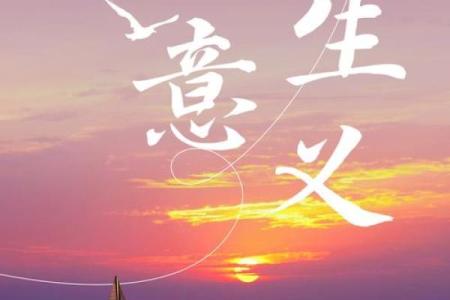 命贵与命贱：生命的价值与存在的意义探讨