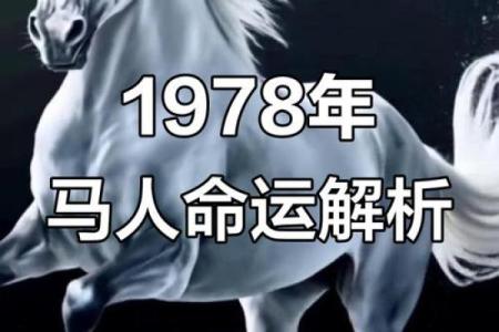 十月属马的人命运解析：运势起伏与生活智慧