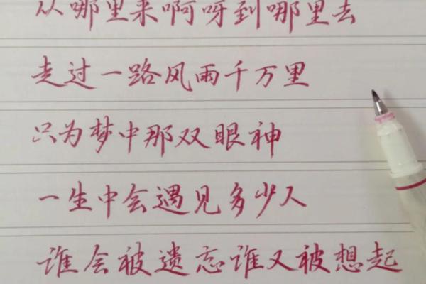 拼了命的想念你：那段不离不弃的岁月