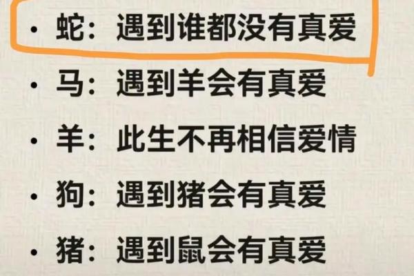七八年间生肖命理解析：你命中注定的特点与运势